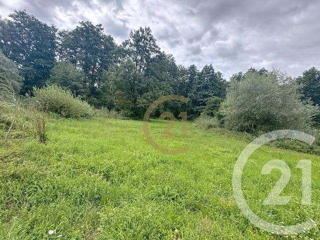 terrain - ETOUVANS - 25